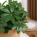 1pc 13in Lifelike Artificial Plant - Fake Leaves with Stem - Durable & Low Maintenance Decor for Living Room, Hotel, Office - Enhance Indoor Ambiance, Home & Room Styling