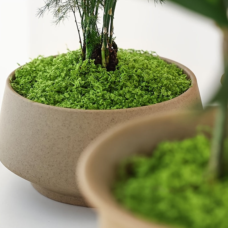20g Artificial Fake Moss for DIY Miniature Landscape, Green Plant Lawn Decoration for Pots, Windowsill Decor
