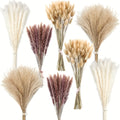 200pcs Artificial Pampas Grass Bundle - Includes 50 Decorations, 30 Natural Dried Feather Grass, 120 Natural Rabbit Tail Grass for Bohemian Table, Country Parties, Shower Decor, Wedding Party, and Home Decor