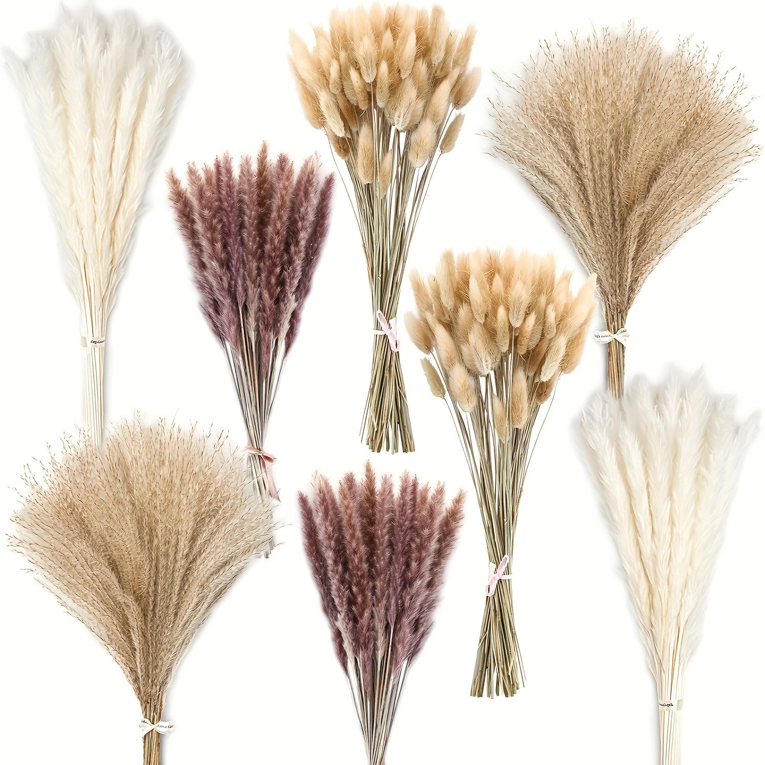 200pcs Artificial Pampas Grass Bundle - Includes 50 Decorations, 30 Natural Dried Feather Grass, 120 Natural Rabbit Tail Grass for Bohemian Table, Country Parties, Shower Decor, Wedding Party, and Home Decor