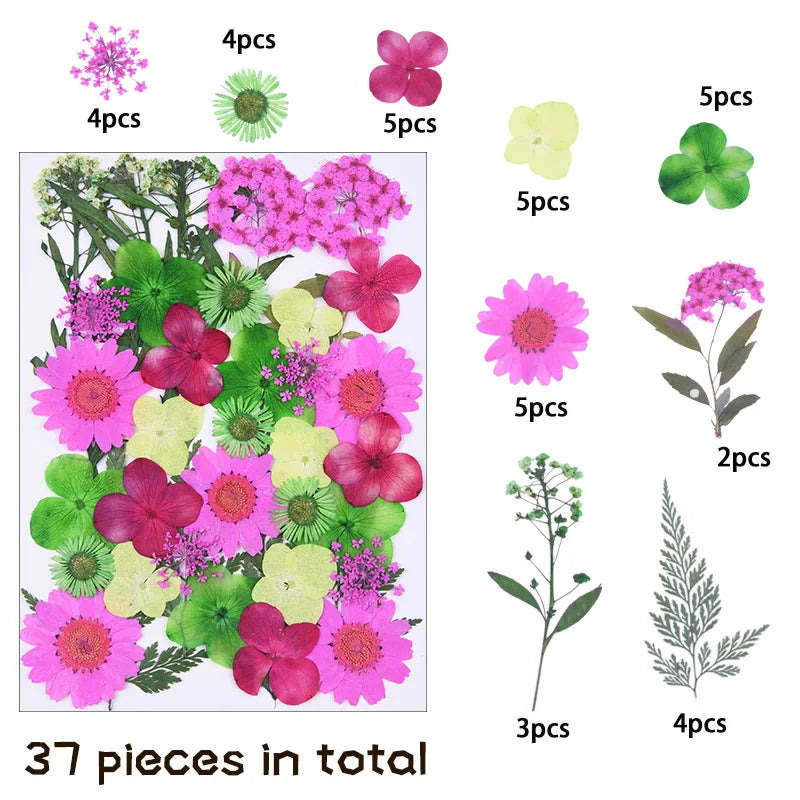 1 Package 34-40PCS Dried Flowers DIY Pressed Flowers Stickers For Resin Mold Fiilings Jewelry Making Crafts Nail Art Decor