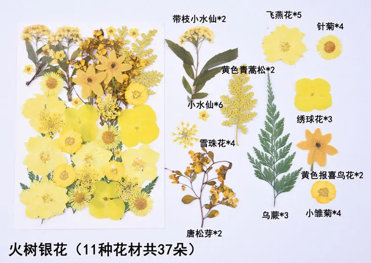 1 Package 34-40PCS Dried Flowers DIY Pressed Flowers Stickers For Resin Mold Fiilings Jewelry Making Crafts Nail Art Decor