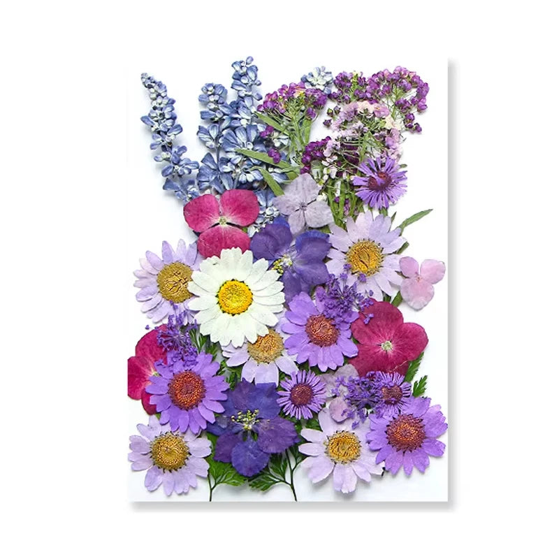 Dried Flowers Real Natural Plant Pressed Flower for Tray Mold Epoxy Resin DIY Coaster Making Decoration Home Accessories Crafts