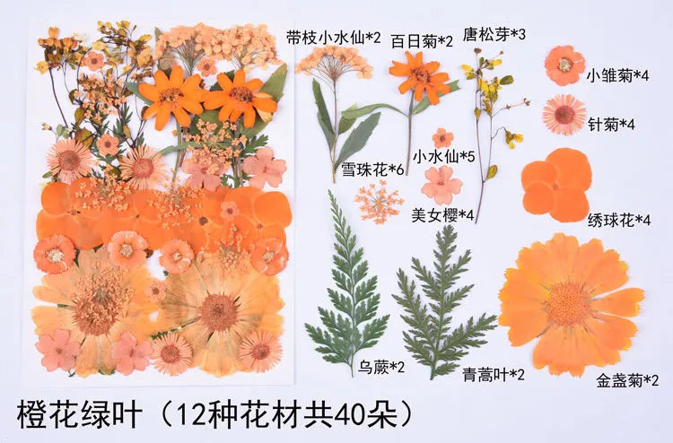 1 Package 34-40PCS Dried Flowers DIY Pressed Flowers Stickers For Resin Mold Fiilings Jewelry Making Crafts Nail Art Decor