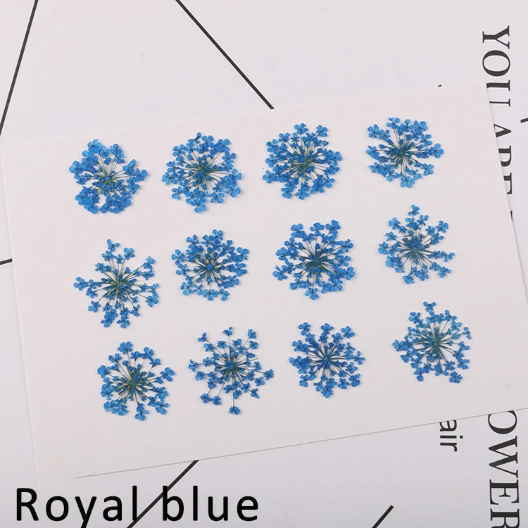 120 pieces per batch. Natural dried white lace flower embossings, used for nail art, snowflake bead floral DIY gift handicrafts,