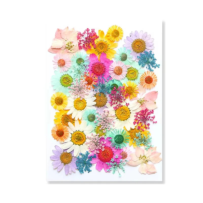 Dried Flowers Real Natural Plant Pressed Flower for Tray Mold Epoxy Resin DIY Coaster Making Decoration Home Accessories Crafts