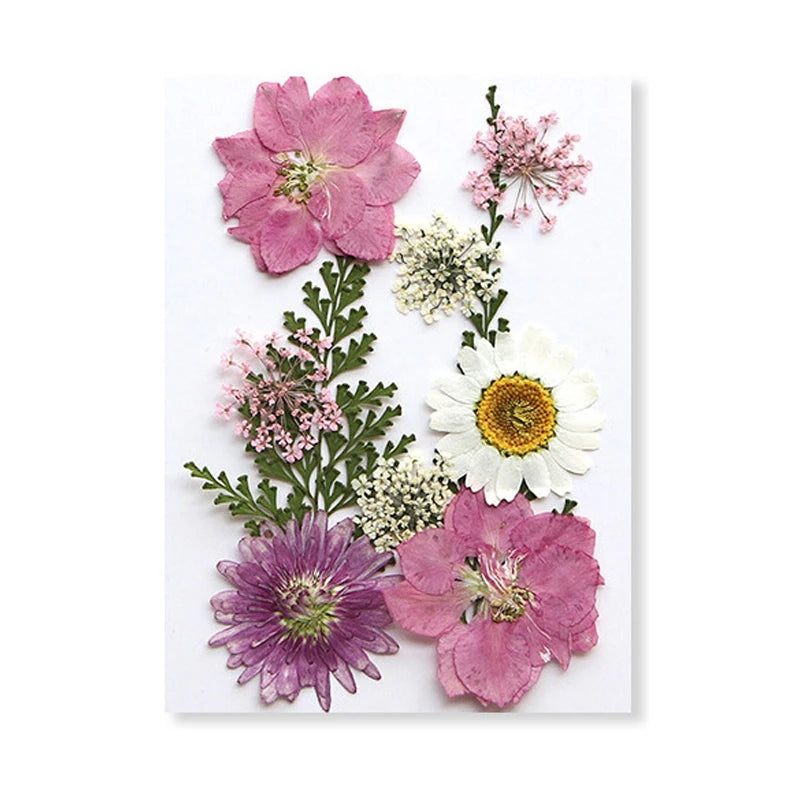 Dried Flowers Real Natural Plant Pressed Flower for Tray Mold Epoxy Resin DIY Coaster Making Decoration Home Accessories Crafts