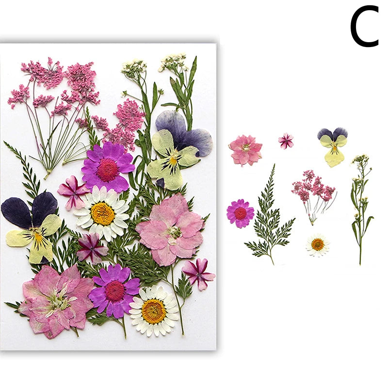 Dried Flowers Real Natural Plant Pressed Flower For Epoxy Resin Filling DIY Nail Art Handicrafts Jewelry Making Craft