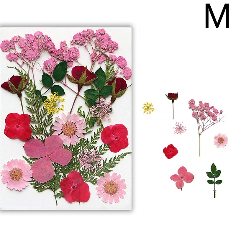 Dried Flowers Real Natural Plant Pressed Flower For Epoxy Resin Filling DIY Nail Art Handicrafts Jewelry Making Craft