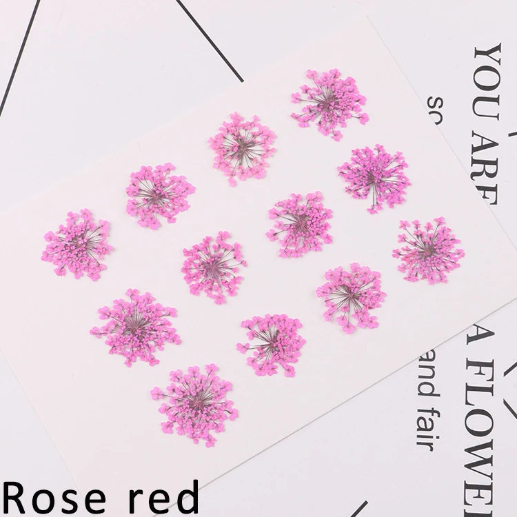 120 pieces per batch. Natural dried white lace flower embossings, used for nail art, snowflake bead floral DIY gift handicrafts,