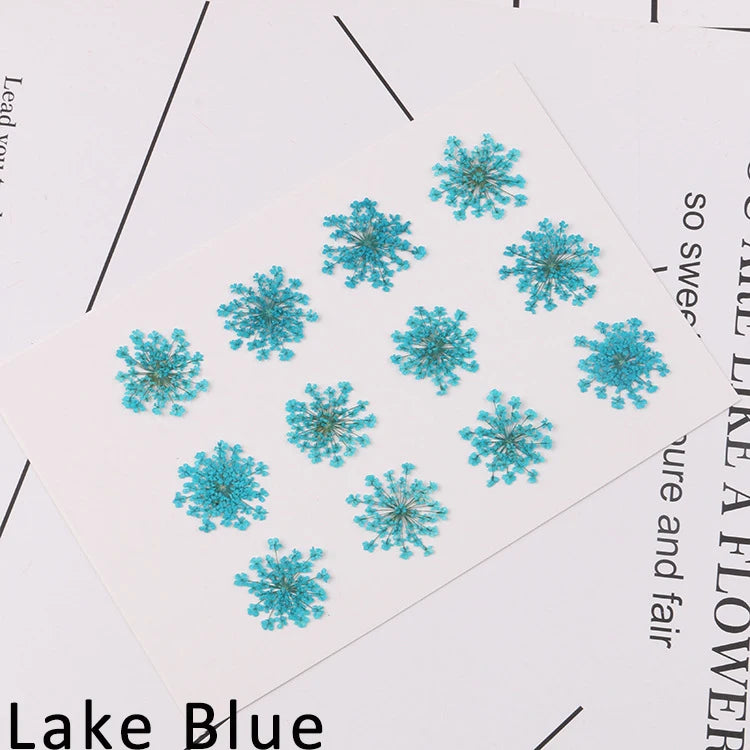 120 pieces per batch. Natural dried white lace flower embossings, used for nail art, snowflake bead floral DIY gift handicrafts,