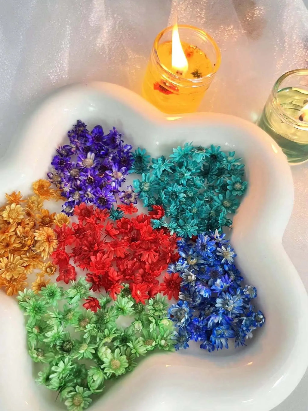 Artificial Plants Natural Real Dried Flowers for Candles Mold Epoxy Resin DIY Making Decoration Nail Art Home Accessories Crafts
