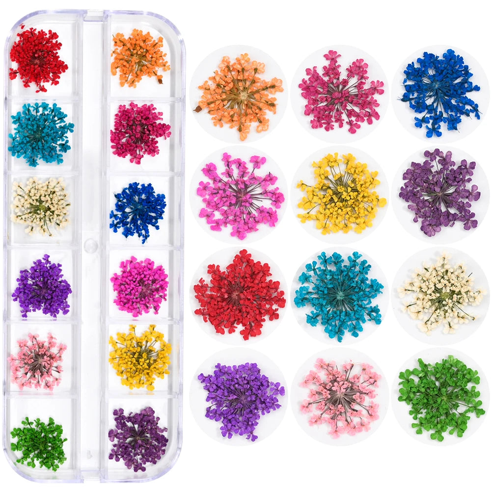 12Grid Colorful Dried Flower For Nail Charms Natural Floral Sticker Mix Dry Flowers Decal DIY UV Gel Polish Nail Art Manicure