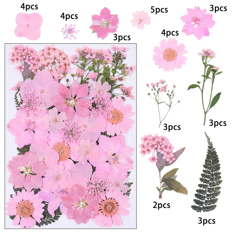 1 Package 34-40PCS Dried Flowers DIY Pressed Flowers Stickers For Resin Mold Fiilings Jewelry Making Crafts Nail Art Decor