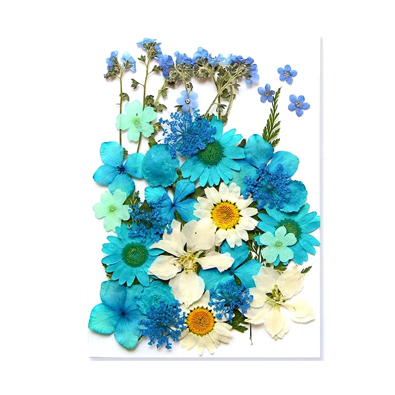 Dried Flowers Real Natural Plant Pressed Flower for Tray Mold Epoxy Resin DIY Coaster Making Decoration Home Accessories Crafts