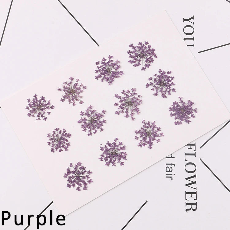 120 pieces per batch. Natural dried white lace flower embossings, used for nail art, snowflake bead floral DIY gift handicrafts,