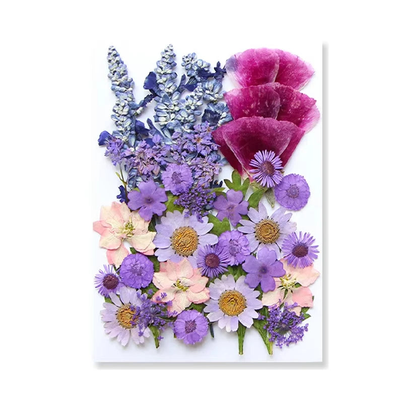 Dried Flowers Real Natural Plant Pressed Flower for Tray Mold Epoxy Resin DIY Coaster Making Decoration Home Accessories Crafts