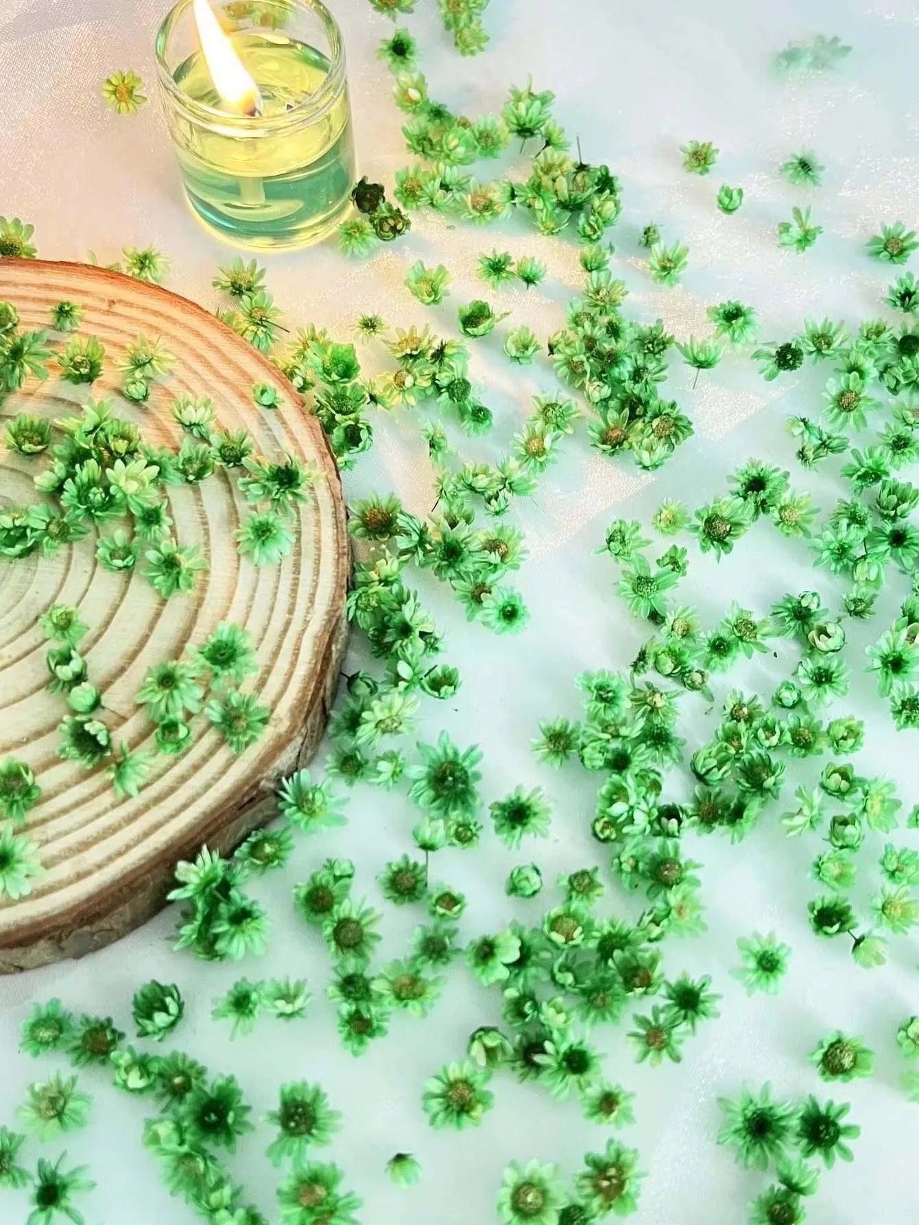 Artificial Plants Natural Real Dried Flowers for Candles Mold Epoxy Resin DIY Making Decoration Nail Art Home Accessories Crafts