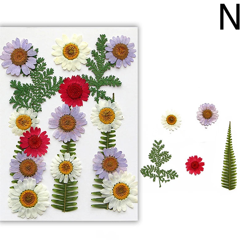 Dried Flowers Real Natural Plant Pressed Flower For Epoxy Resin Filling DIY Nail Art Handicrafts Jewelry Making Craft