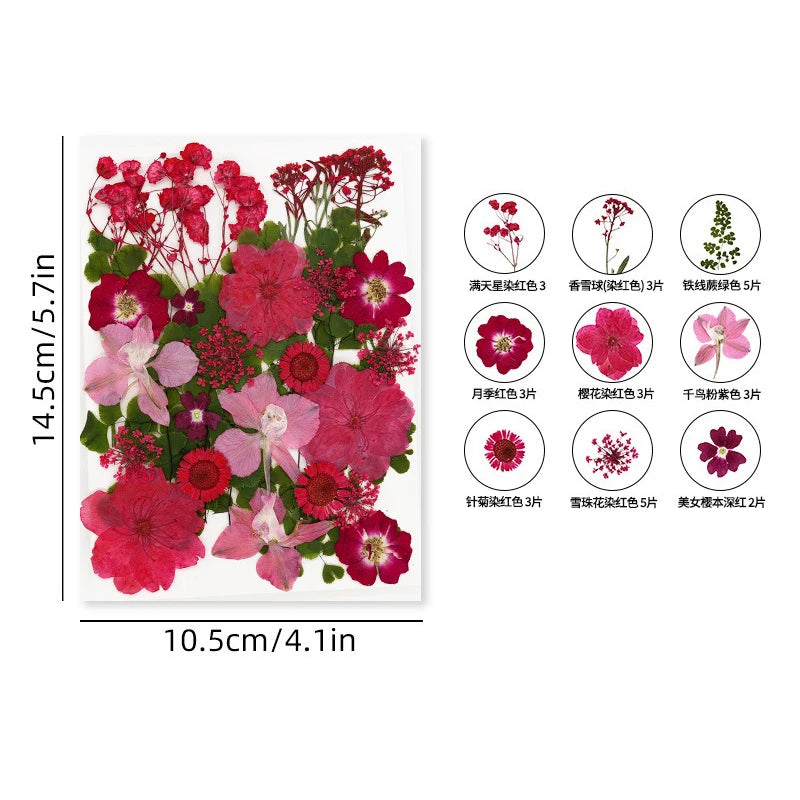 30PCS Package Dried Pressed Flowers for Resin Art Craft Supplies Scrapbooking DIY Candle Mold Fillings Natural Real Flower Leave