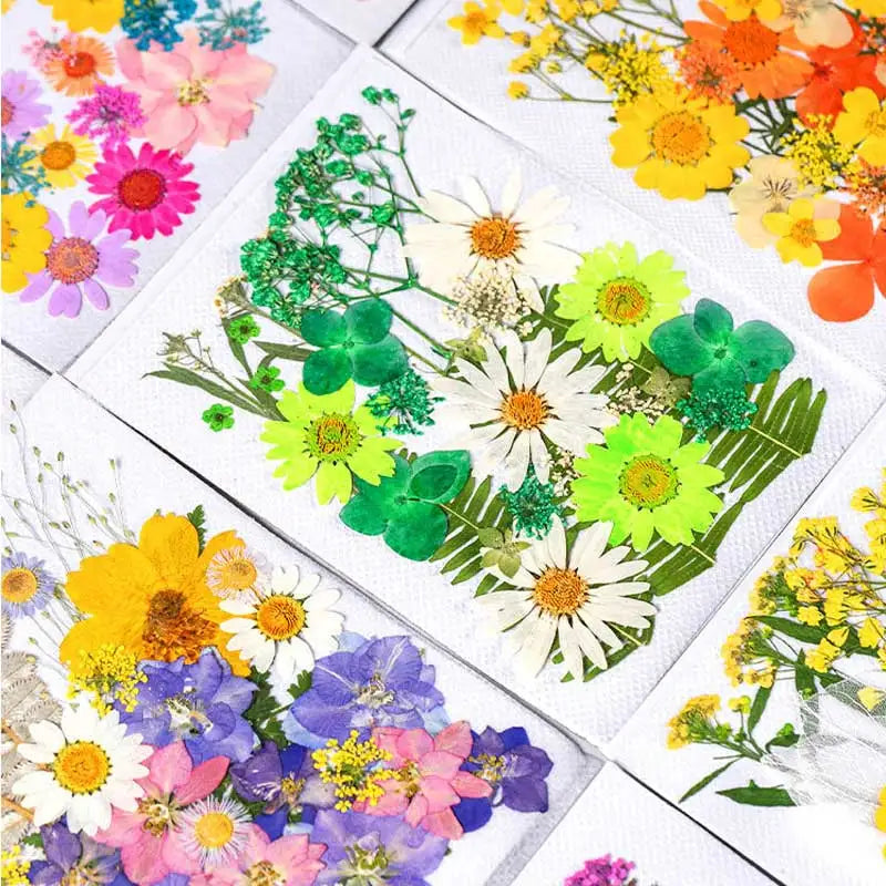 New Mixed Style Dried Pressed Flowers for DIY Resin Jewelry Mold Making Natural Real Dried Flower Leaves Candle Art Decoration