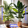 2pcs 82cm Large Scale Simulation Artificial Palm Tree and Banana Leaves Potted Plants Indoor Green Plants Garden Potted Plant