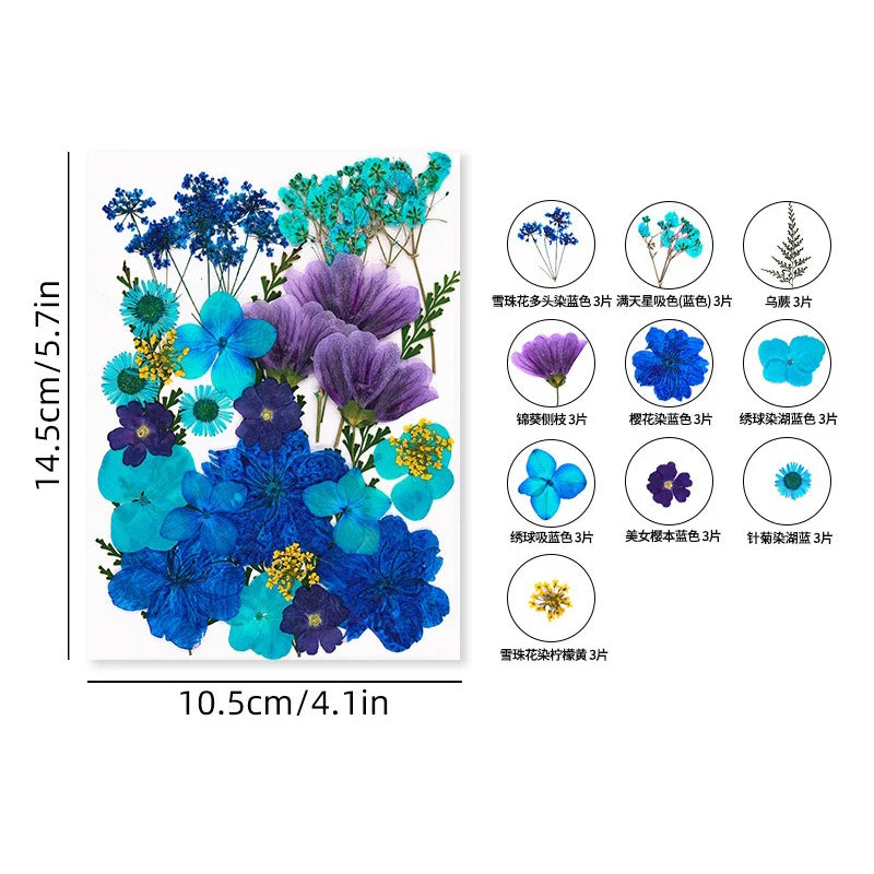 30PCS Package Dried Pressed Flowers for Resin Art Craft Supplies Scrapbooking DIY Candle Mold Fillings Natural Real Flower Leave