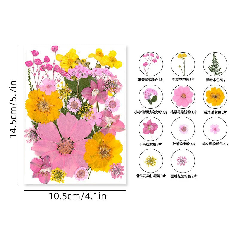 30PCS Package Dried Pressed Flowers for Resin Art Craft Supplies Scrapbooking DIY Candle Mold Fillings Natural Real Flower Leave