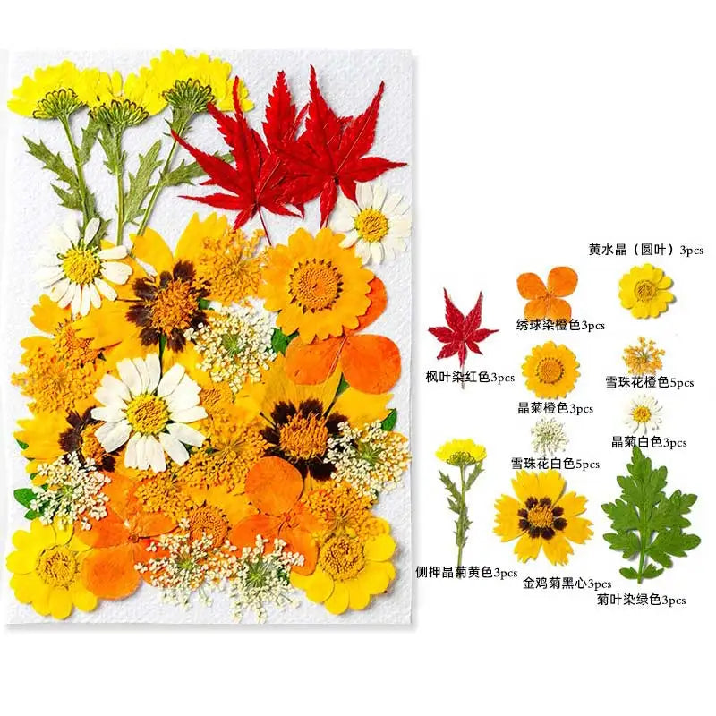 New Mixed Style Dried Pressed Flowers for DIY Resin Jewelry Mold Making Natural Real Dried Flower Leaves Candle Art Decoration