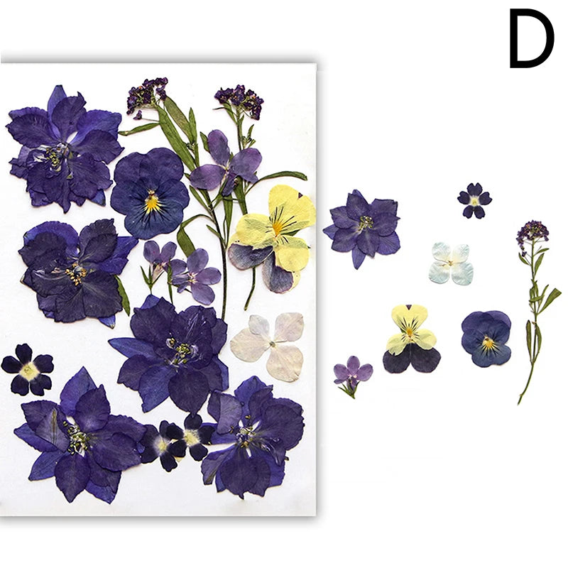 Dried Flowers Real Natural Plant Pressed Flower For Epoxy Resin Filling DIY Nail Art Handicrafts Jewelry Making Craft