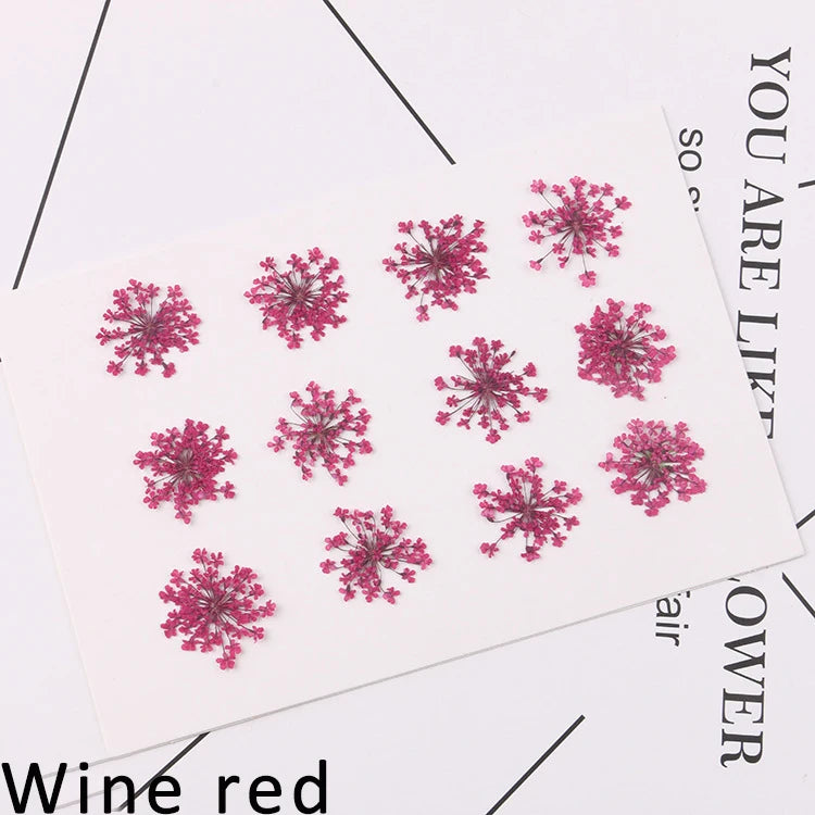 120 pieces per batch. Natural dried white lace flower embossings, used for nail art, snowflake bead floral DIY gift handicrafts,