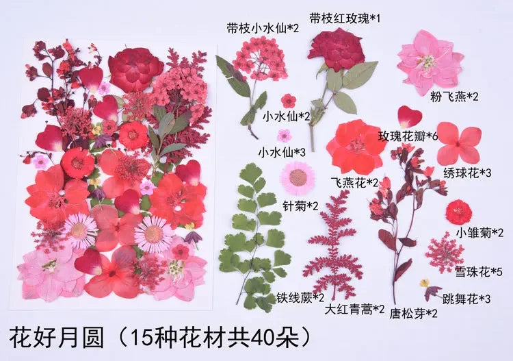 1 Bag 34-40PCS Dried Pressed Flowers For DIY Phone Case Jewelry Making Crafts Natural Real Flowers Nail Art Decor Party Home