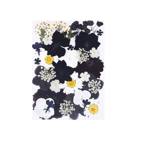 1 Package 34-40PCS Dried Flowers DIY Pressed Flowers Stickers For Resin Mold Fiilings Jewelry Making Crafts Nail Art Decor