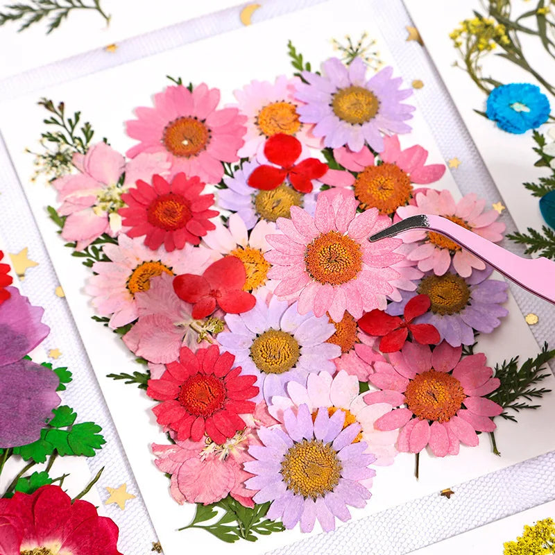 Dried Flowers Real Natural Plant Pressed Flower for Tray Mold Epoxy Resin DIY Coaster Making Decoration Home Accessories Crafts