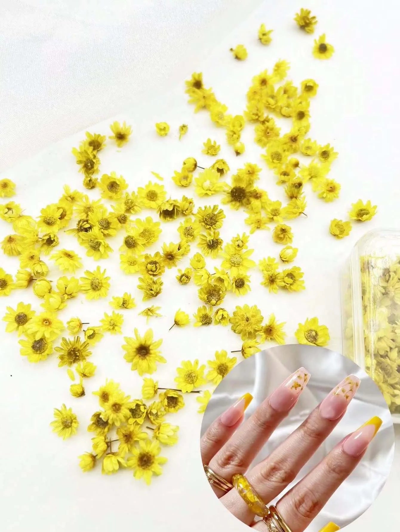 Artificial Plants Natural Real Dried Flowers for Candles Mold Epoxy Resin DIY Making Decoration Nail Art Home Accessories Crafts