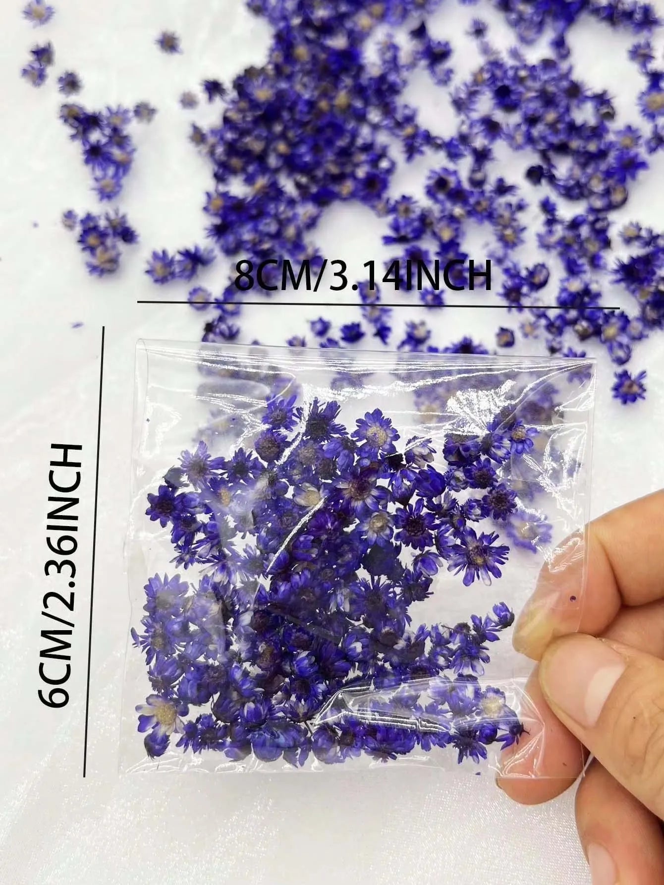 Artificial Plants Natural Real Dried Flowers for Candles Mold Epoxy Resin DIY Making Decoration Nail Art Home Accessories Crafts