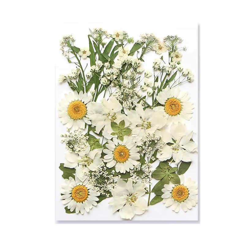 Dried Flowers Real Natural Plant Pressed Flower for Tray Mold Epoxy Resin DIY Coaster Making Decoration Home Accessories Crafts