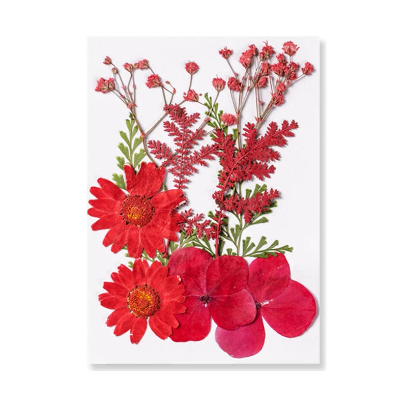 Dried Flowers Real Natural Plant Pressed Flower for Tray Mold Epoxy Resin DIY Coaster Making Decoration Home Accessories Crafts