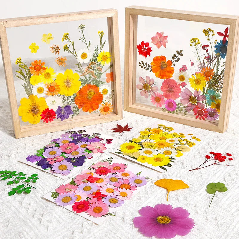 Dried Flowers Real Natural Plant Pressed Flower for Tray Mold Epoxy Resin DIY Coaster Making Decoration Home Accessories Crafts