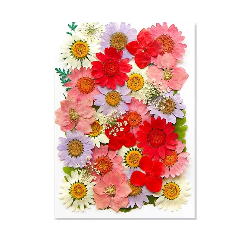 Dried Flowers Real Natural Plant Pressed Flower for Tray Mold Epoxy Resin DIY Coaster Making Decoration Home Accessories Crafts