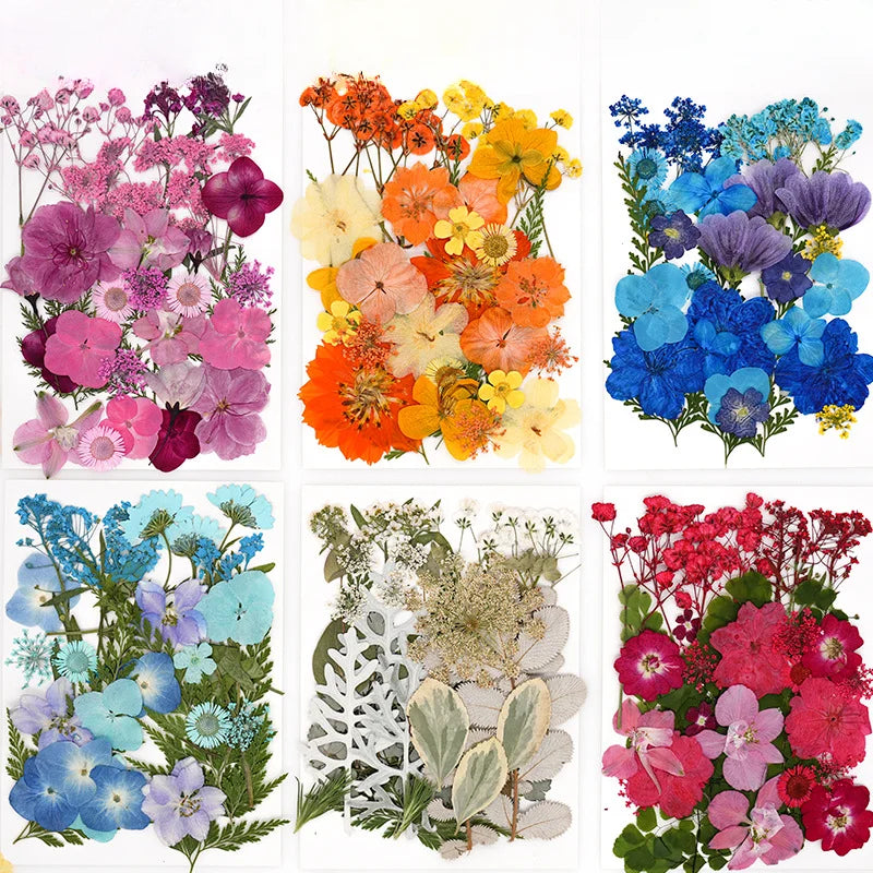 30PCS Package Dried Pressed Flowers for Resin Art Craft Supplies Scrapbooking DIY Candle Mold Fillings Natural Real Flower Leave