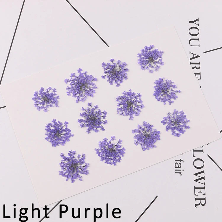 120 pieces per batch. Natural dried white lace flower embossings, used for nail art, snowflake bead floral DIY gift handicrafts,