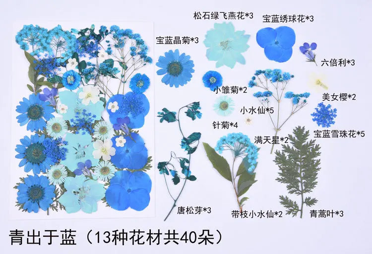 1 Package 34-40PCS Dried Flowers DIY Pressed Flowers Stickers For Resin Mold Fiilings Jewelry Making Crafts Nail Art Decor