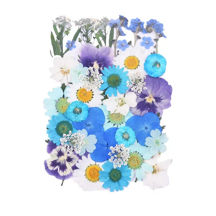 Dried Flowers Real Natural Plant Pressed Flower for Tray Mold Epoxy Resin DIY Coaster Making Decoration Home Accessories Crafts