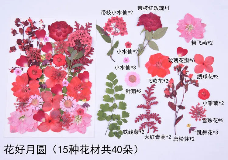 1 Bag 34-40PCS Dried Pressed Flowers For DIY Phone Case Jewelry Making Crafts Natural Real Flowers Nail Art Decor Party Home