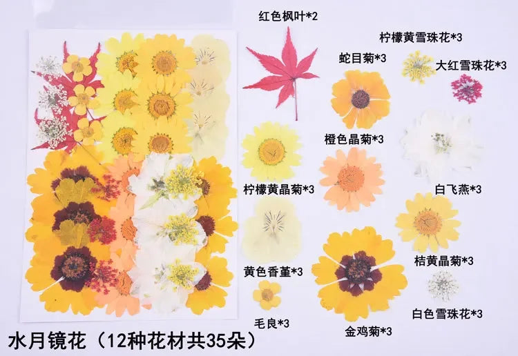 1 Bag 34-40PCS Dried Pressed Flowers For DIY Phone Case Jewelry Making Crafts Natural Real Flowers Nail Art Decor Party Home