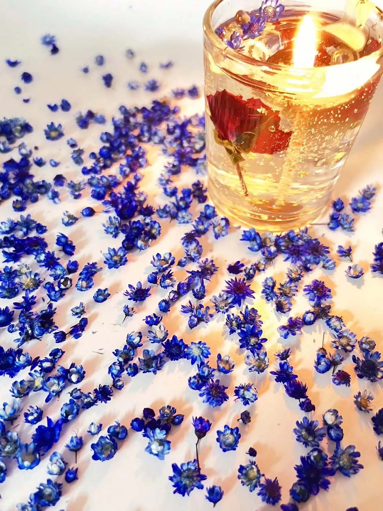 Artificial Plants Natural Real Dried Flowers for Candles Mold Epoxy Resin DIY Making Decoration Nail Art Home Accessories Crafts