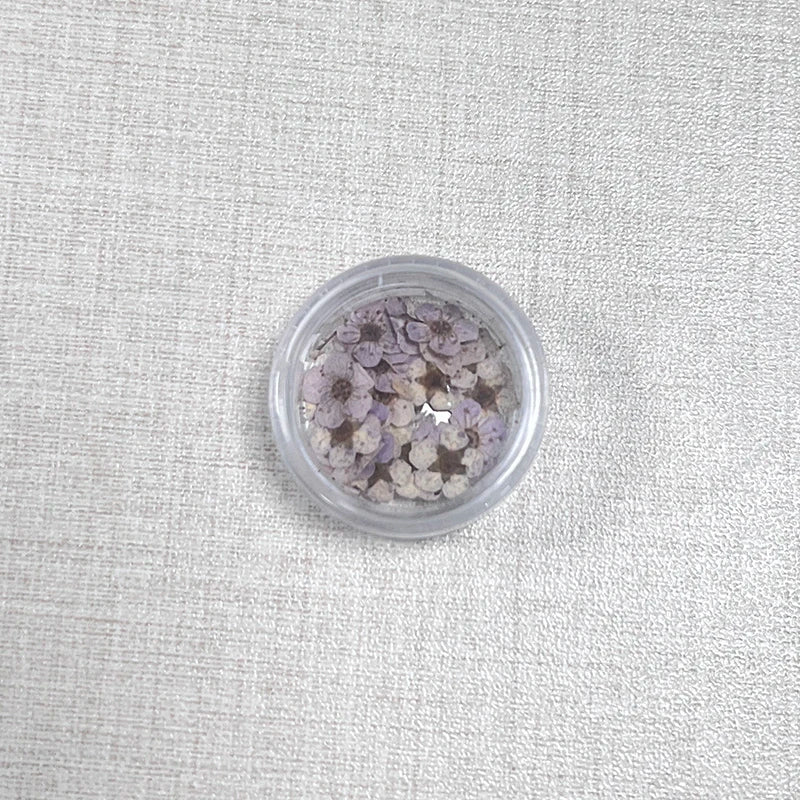 20pcs/box DIY Accessories Pressed Dried Narcissus Plum Blossom Flower For Epoxy Resin Jewelry Making Nail Art Craft