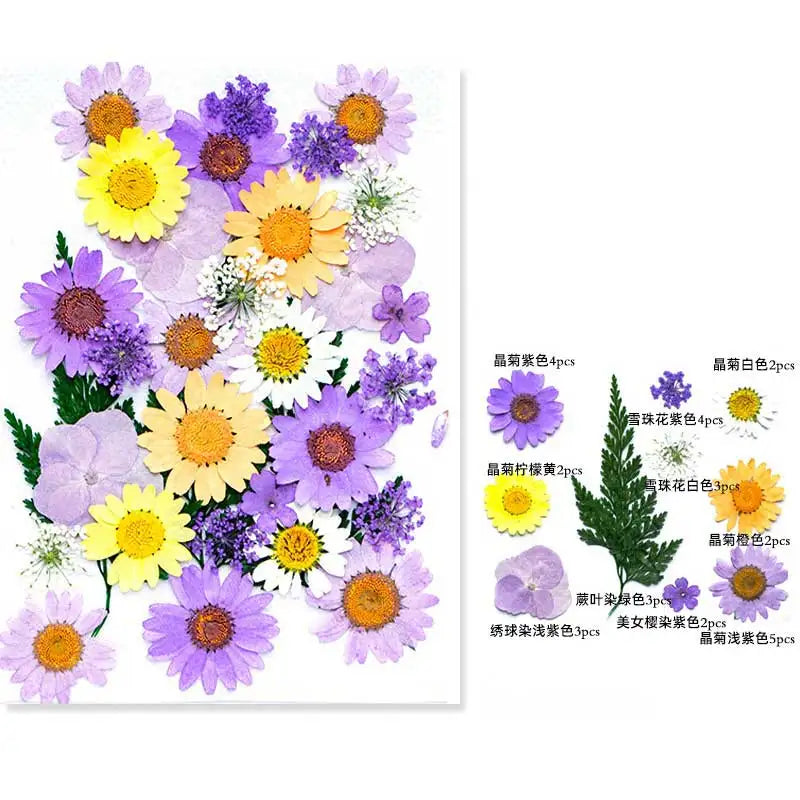New Mixed Style Dried Pressed Flowers for DIY Resin Jewelry Mold Making Natural Real Dried Flower Leaves Candle Art Decoration