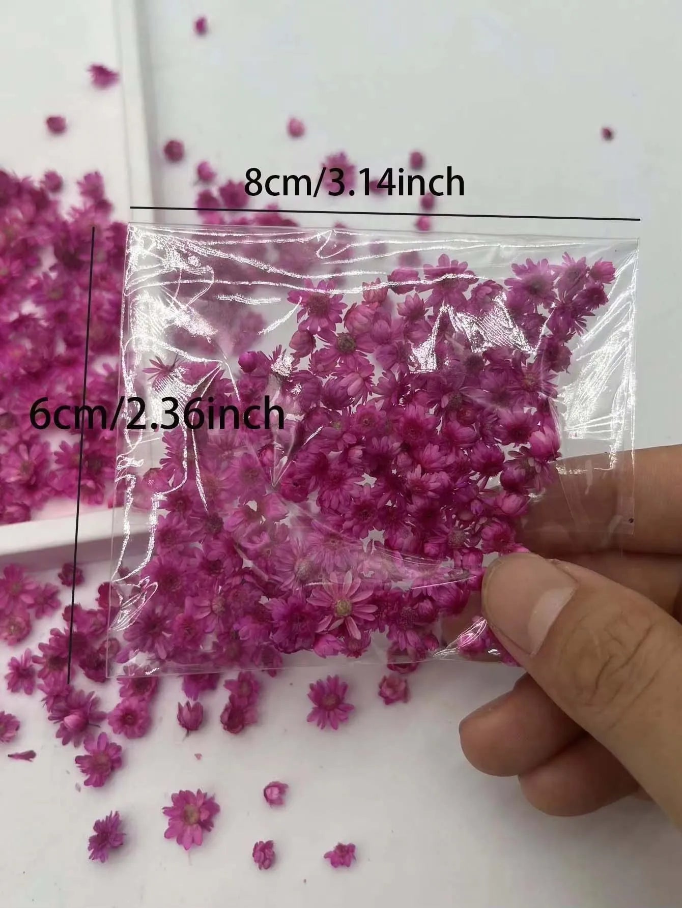 Artificial Plants Natural Real Dried Flowers for Candles Mold Epoxy Resin DIY Making Decoration Nail Art Home Accessories Crafts